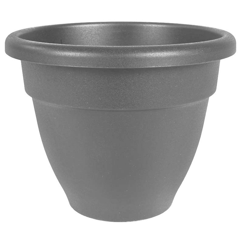 Warm Gray Caribbean Pot