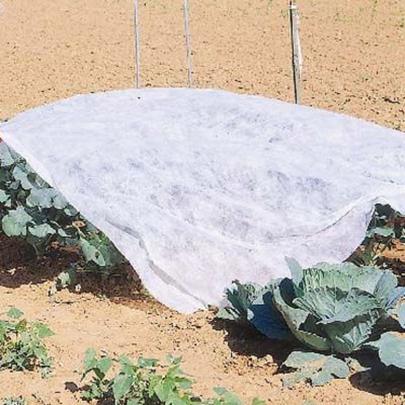 DeWitt 12 x10 Plant Protection Blanket - Click Image to Close