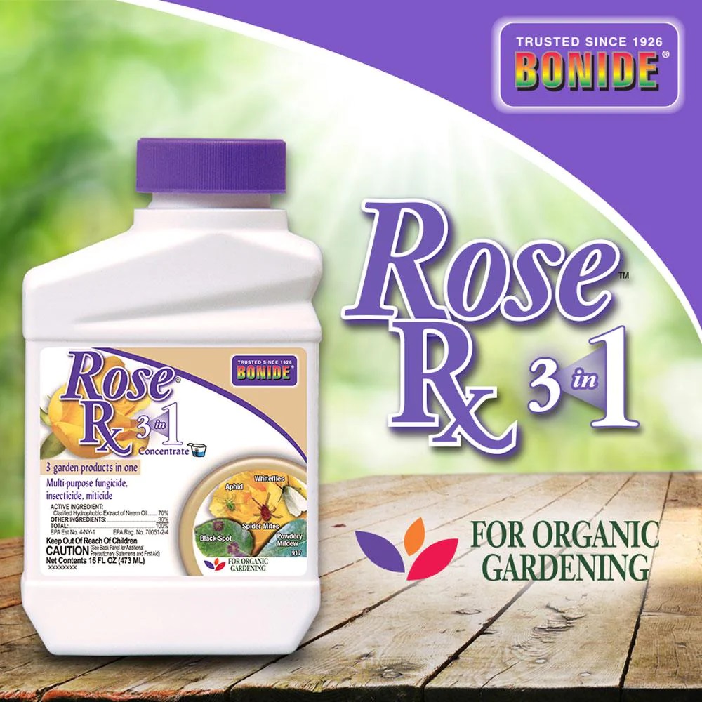 Bonide Rose Rx 3 in 1