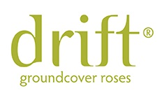 Drift Roses